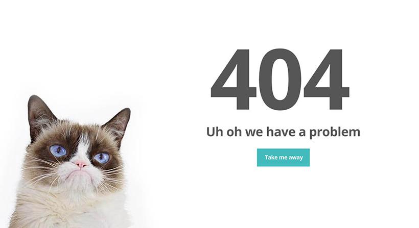 cat404